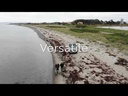 youtube - [Video]