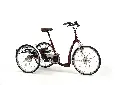 E-bike - 2219 Lagoon bordeaux.webp