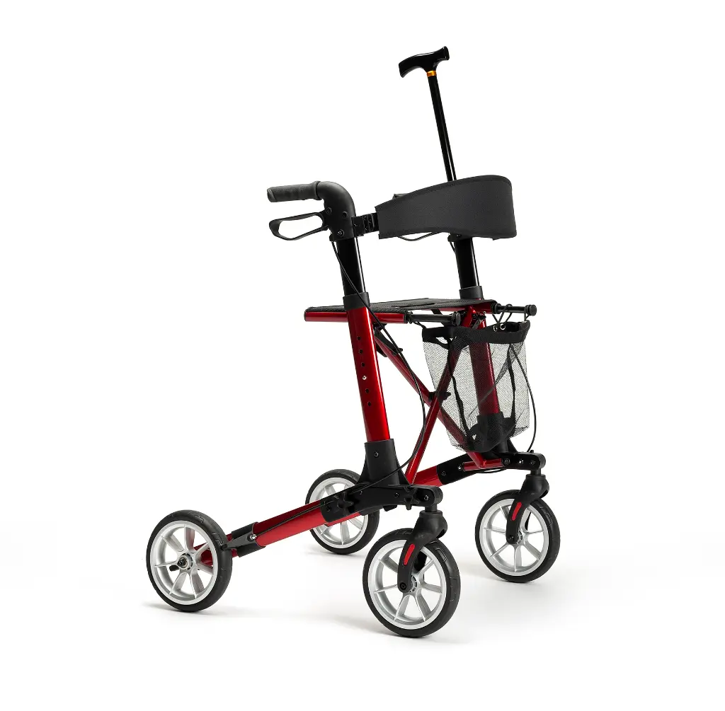 Quadri light with cane.webp