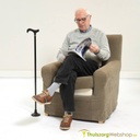 Stabicane walking stick with foot