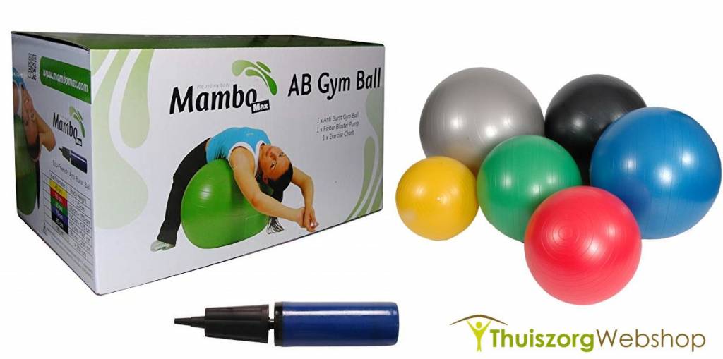 Sitting and exercise ball including pump