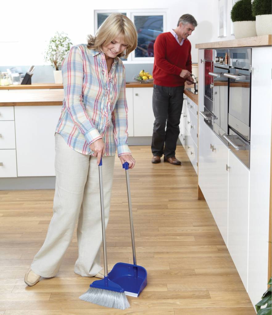 Dustpan and brush with long handle