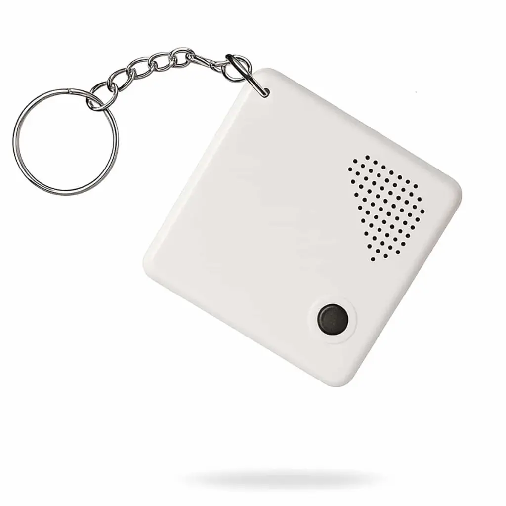 Nederlandssprekende sleutelhanger met tijd, datum en 1 alarm. 