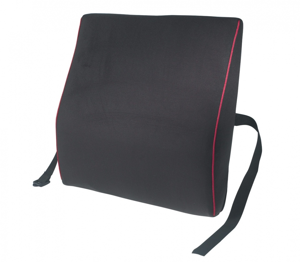 Back support with fastening strap