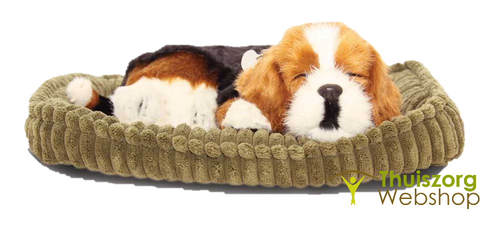 Lifelike pet (various breeds)