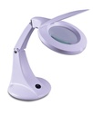 Eagle Desktop LED Twin Arm Illuminated Magnifier With Lens