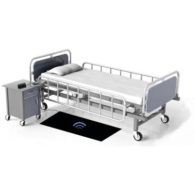 Tapis d'alarme 100 x 50 cm Identités