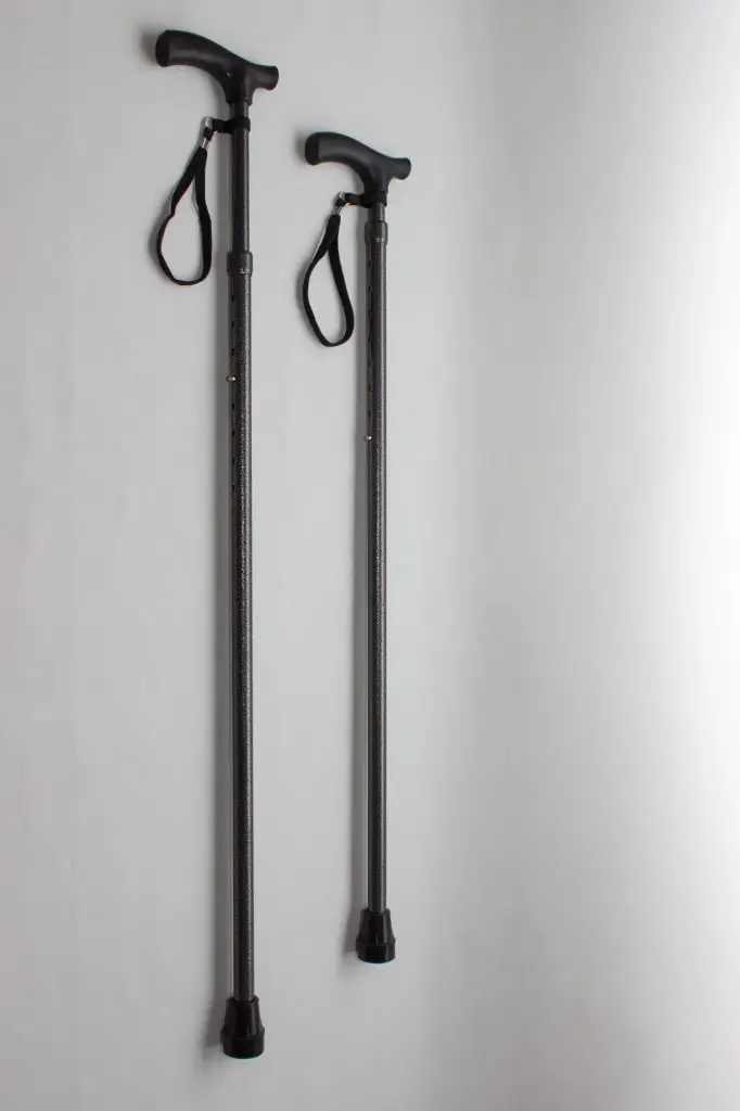 Pluviosis walking stick 2-piece