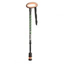 Walking stick with oval handle