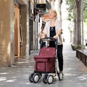 Carlett Trolley – Gehhilfe und Caddy in 1