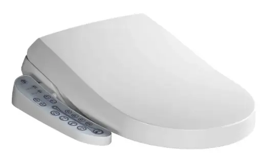 Luxe Japans toilet brons