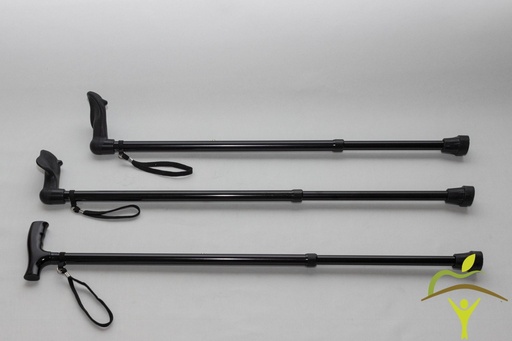 Pluviosis walking stick 2-piece