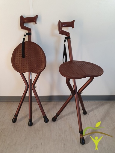 Pluviose walking stick chair in aluminum