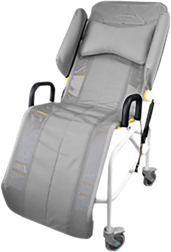 Washington kantelt in Space douchestoel