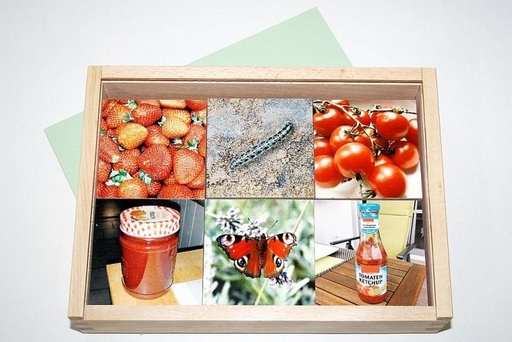 Logische Paare – Verschiedene Themen