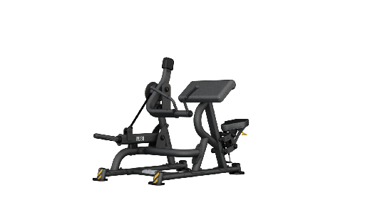 BH PL Serie - Bizepscurl - ohne Gewichte